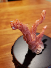 Load image into Gallery viewer, Antique Carved Coral Dragon Statue